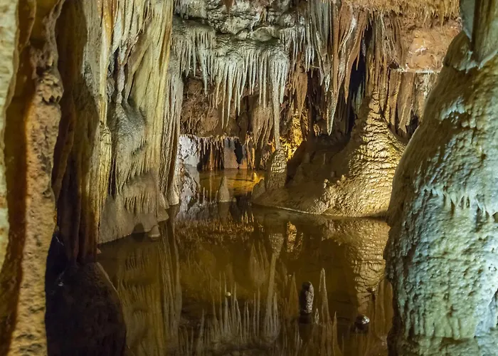 Apartment In Porec 10 Apartment *